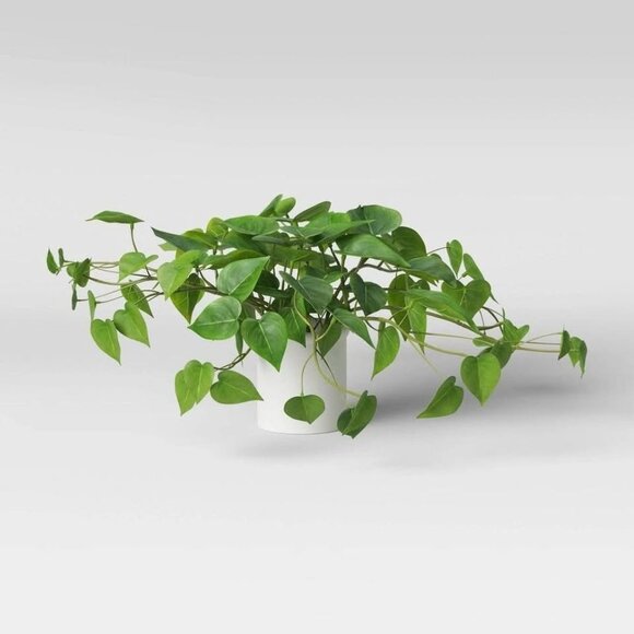 14"x28" Artificial Pothos Plant in White Ceramic Pot - Threshold - Target 2023 - Picture 1 of 8